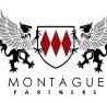 Montague Partners - Accountant Find