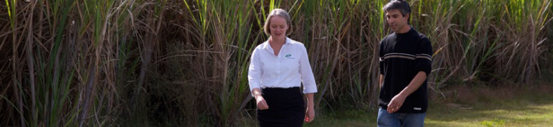 Townsend NSW Accountant Find