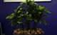 Susan Smith & Associates Pty Ltd - thumb 3