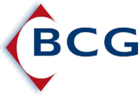 Business Concepts Group - Accountant Find 0