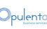 Opulento Business Services - thumb 0