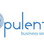 Opulento Business Services - Accountant Find