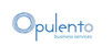 Opulento Business Services - Accountant Find 0