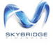 Skybridge Financial - Accountant Find