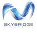Skybridge Financial - Accountant Find 0