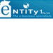 Entity 1 Pty Ltd - Accountant Find 0