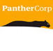 PantherCorp CST - Accountant Find