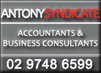 Antony Syndicate - Accountant Find 0