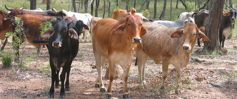 Hogan & Associates CPA - Accountant Find 1