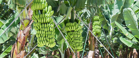 Hogan & Associates CPA - Accountant Find 3