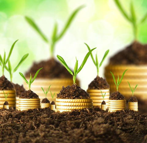 Cutting Edge Accounting - Accountant Find 5