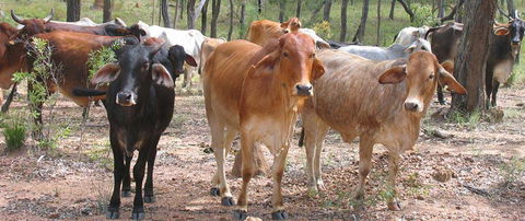 Hogan & Associates CPA - Accountant Find 6