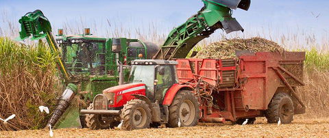 Hogan & Associates CPA - Accountant Find 7