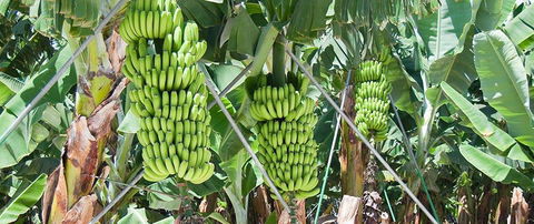 Hogan & Associates CPA - Accountant Find 8