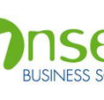 Bonsella Business Solutions - Accountant Find