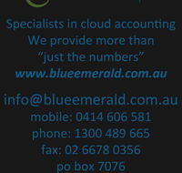 Blue Emerald - Accountant Find