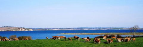 Julie Meek - Rural Bookkeeping Service - Accountant Find 1