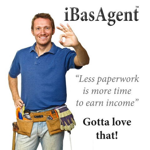 IBasAgent - Accountant Find 0