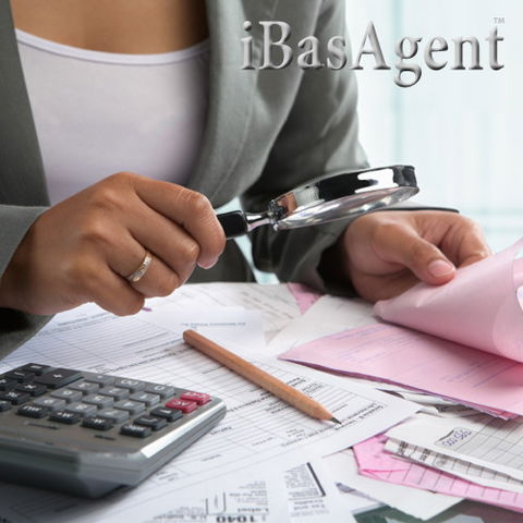IBasAgent - Accountant Find 1