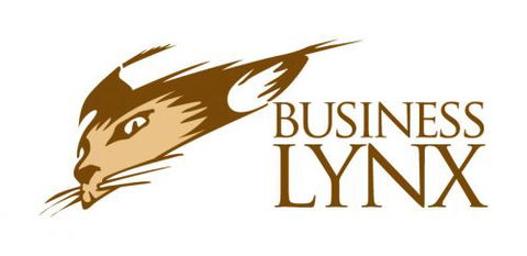 BusinessLynx - Accountant Find 0