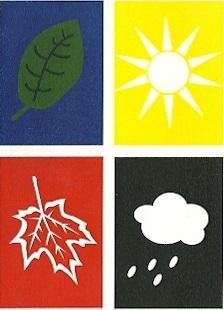 Four Seasons Bookkeeping & Taxation Services - Accountant Find 0