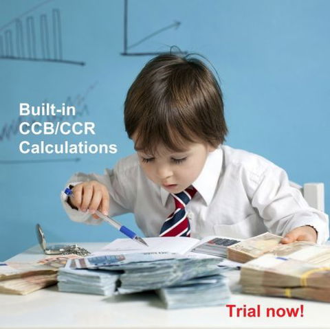 TopCare4Kidz - Accountant Find 3