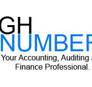 High Numbers - Accountant Find