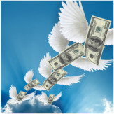 Napoleons VIC Accountant Find