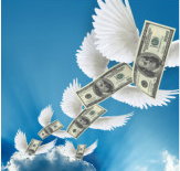 MAS Network - Accountant Find