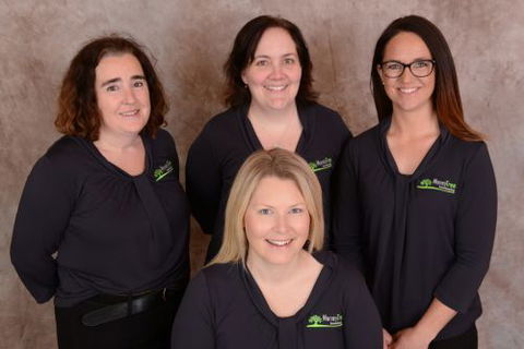 Money Tree Bookkeeping - Accountant Find 0