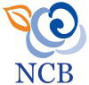 NCB Business Bookkeeping Services - Accountant Find