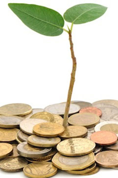 Lynda Soderlund LSA Accountants - Accountant Find 13