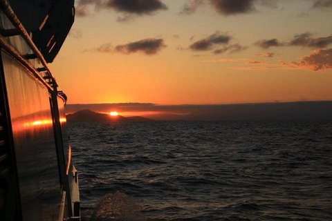 Transworld Business Advisors Townsville - Accountant Find 3