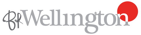 BR Wellington - Accountant Find 0