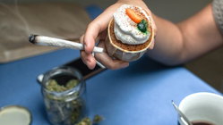 Cannabis cafes may become tourist draw in US city as lung experts cite 'toxic chemical' concerns Accountant Find