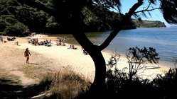 Deadly mystery unfolds as canoeists are found unresponsive after midnight trip Accountant Find