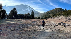 Mount Shasta climber recounts harrowing 500-foot slide, overnight crawl to safety: report Accountant Find