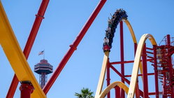 Popular amusement park bans guest for life after roller coaster stunt viral video Accountant Find